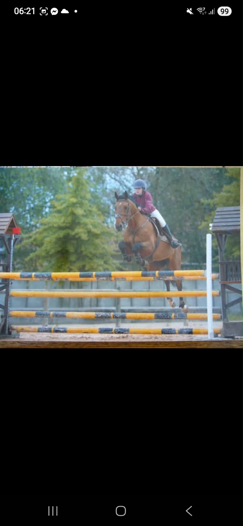 Saut d'obstacle lors d'un cours d'équitation avec EquiSoph'Armonie en Saône-et-Loire
