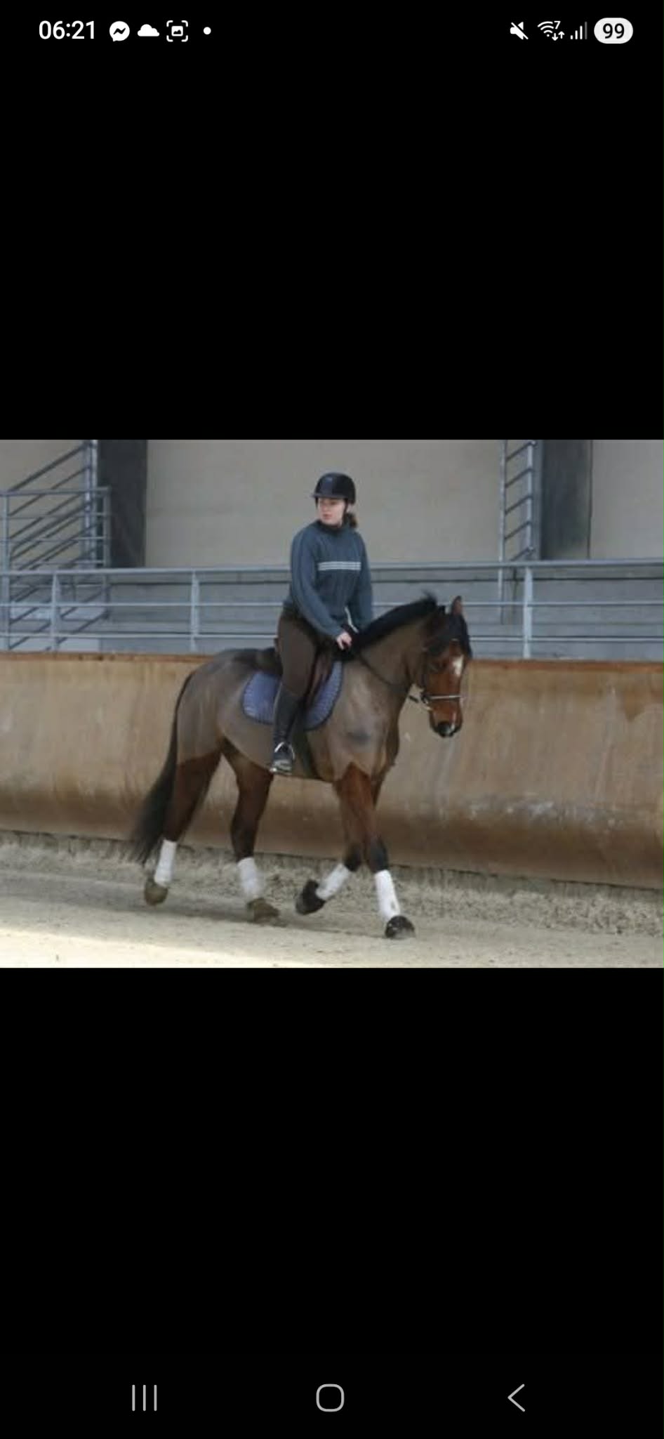 Travail en manège - cours d'équitation raisonnée à La Chapelle-Saint-Sauveur, Bourgogne-Franche-Comté