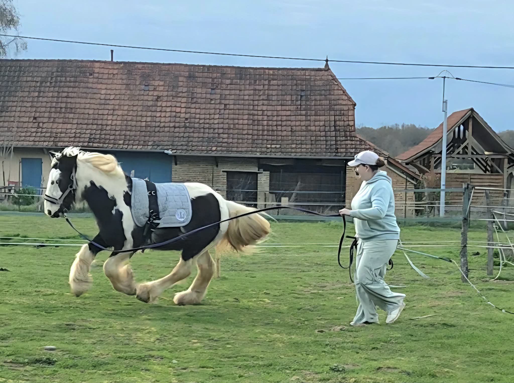 Travail en longe avec un cheval pie - cours EquiSoph'Armonie en Saône-et-Loire